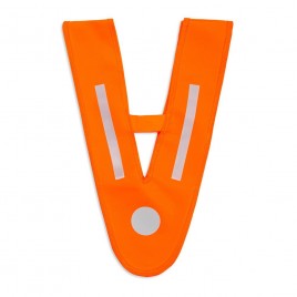 V Band for children and youth